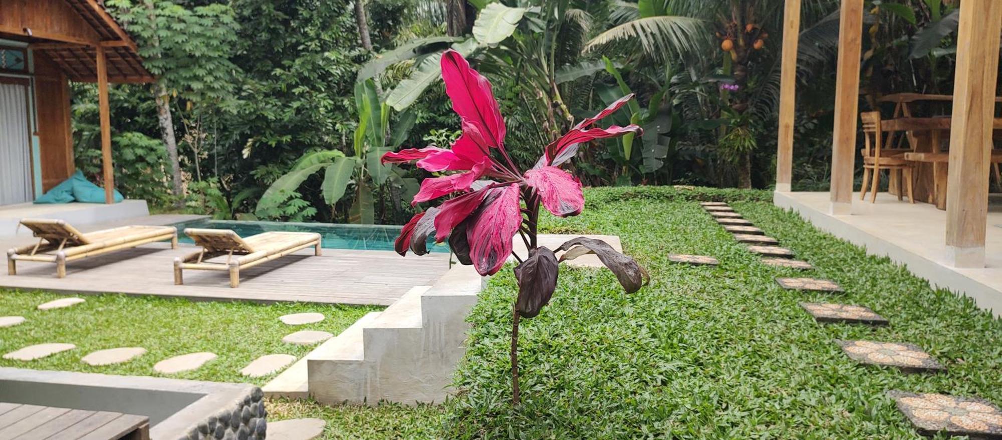 Rumah Guci Ubud Eksteriør bilde