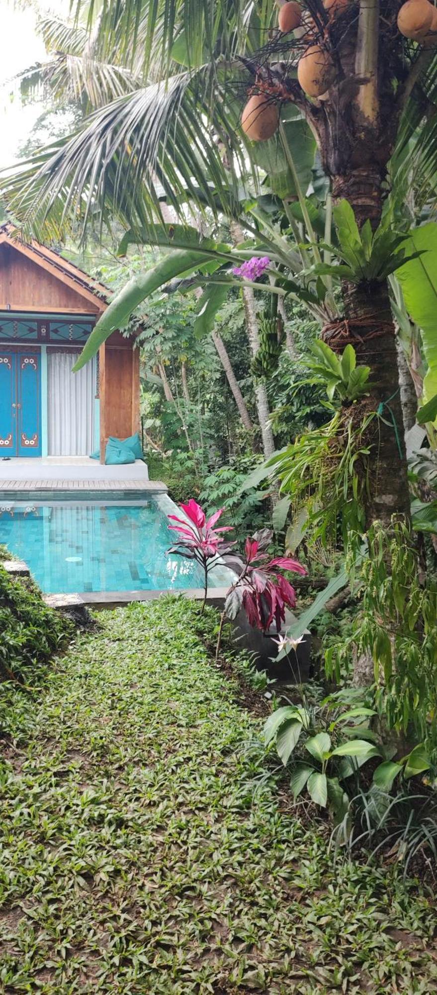 Rumah Guci Ubud Eksteriør bilde