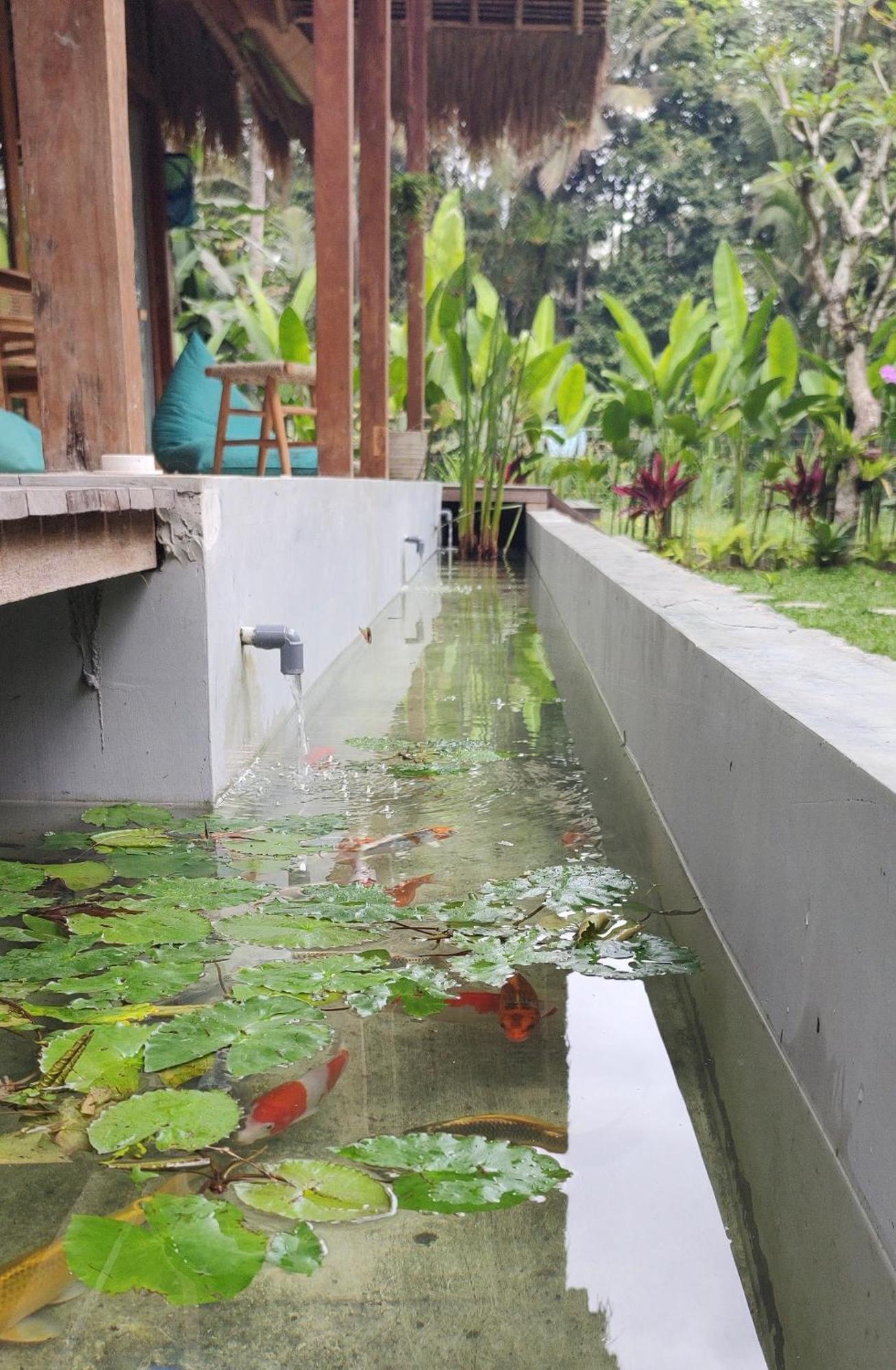 Rumah Guci Ubud Eksteriør bilde