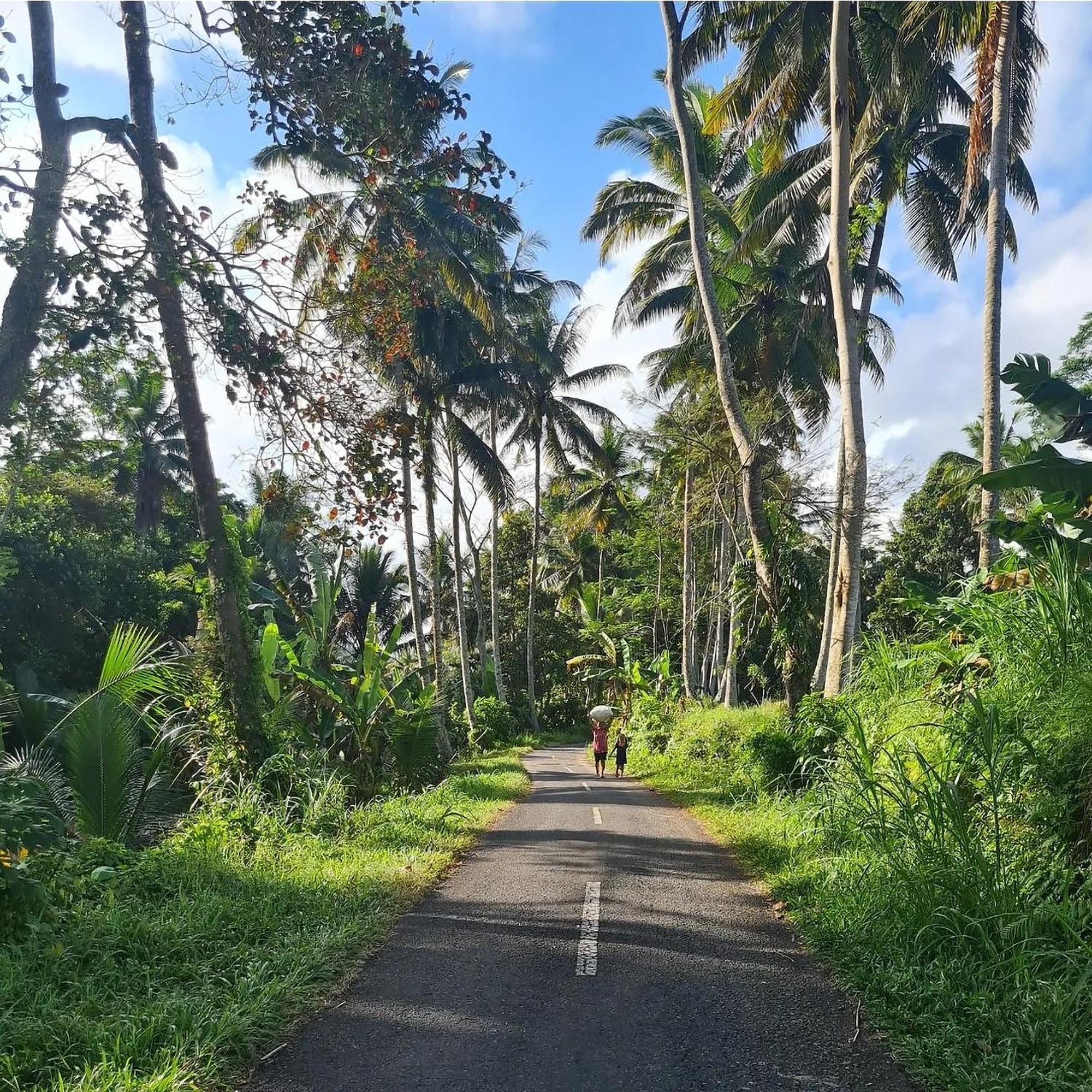 Rumah Guci Ubud Eksteriør bilde
